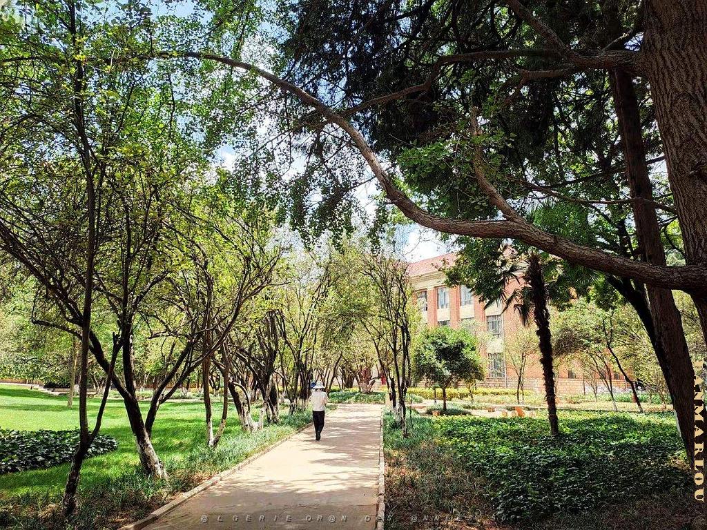 Kunming - Universite du Yunnan (48).jpg